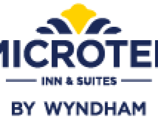 microtel by wyndham logo microtel by wyndham logo