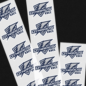 16178 dynamos stickers